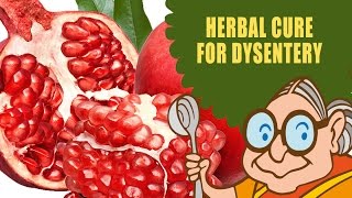 Dysentery Treatment  Natural Ayurvedic Home Remedies  Butter Milk amp Pomegranate [upl. by Akir]