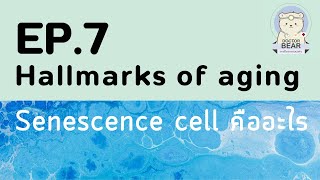 Hallmarks of aging EP7 Senescence cell [upl. by Bussey113]