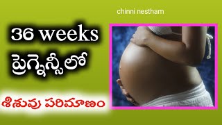 36 weeks of pregnancy what to expect  36 weeks pregnant  pregnancy week by week  normal delivery [upl. by Warrick]