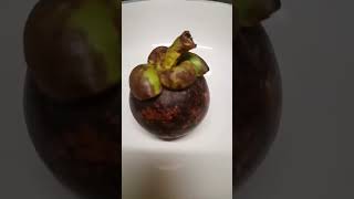 mangosteen fruit mangosteen viralshort asmrsounds [upl. by Nivahb]