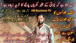 Goat fodder  Bakri ka Sasta chara  Goat feed  Goat Farming In Pakistan  HB Business TV [upl. by Annnora]