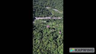 Vídeo mostra Serra de Cachoeiras de Macacu do alto e Mata Atlântica [upl. by Ednyl]