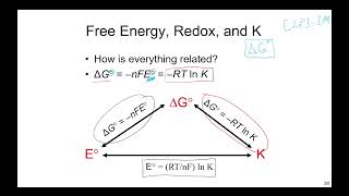 Relating Cell Potential to Gibbs Free Energy  The Nernst Equation [upl. by Hendry]