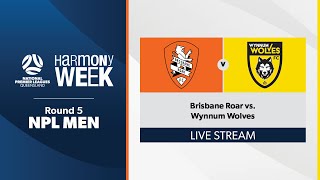 NPL Men Round 5  Brisbane Roar vs Wynnum Wolves [upl. by Ocirled160]