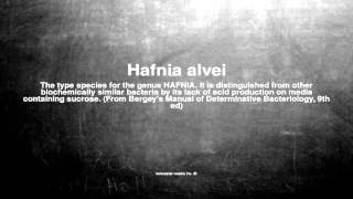 Medical vocabulary What does Hafnia alvei mean [upl. by Alemat]