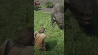 Hunted Buffalo in Red Dead Redemption 2 [upl. by Fiertz]