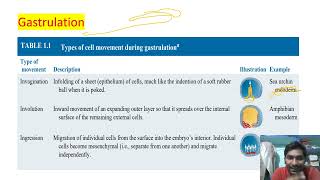 Developmental Biology  lecture 6  Gastrulation  movement in gastrula  CSIRNET GATE [upl. by Enirhtac]