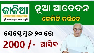 Kalia Yojana New Apply Update 2023  Kalia Yojana Online Apply  Odisha TV [upl. by Ahsinom]