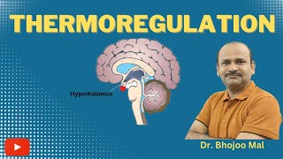 Thermoregulation  What is thermoregulation Class 12 Biology  by Dr Bhojoo Mal [upl. by Baseler]