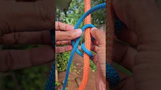 Rope to rope connection knots paracord shortsfeed [upl. by Leirea]