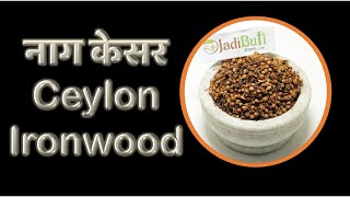 Benefits Of Iron wood Ceylon ironwood  Nagkesar ke fayde  JadibutiStore  JBS077 [upl. by Derfiniw249]