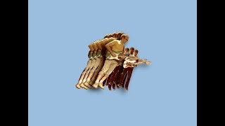 VULFPECK  Fugue State Full Album [upl. by Jania]