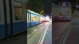 Ein Flexity und ein Cobra Tram bei der Haltestelle Zürich SihlquaiHB [upl. by Halie52]