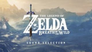 Attack on Vah Medoh  The Legend of Zelda Breath of the Wild OST [upl. by Nnylkoorb]