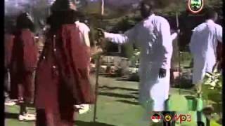 Oromo Music  Traditional Band Arsi [upl. by Aset]