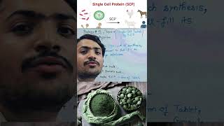 What is Single Cell Protein l SCP protein biology neet neetpyq shorts wbc rbc bio botany [upl. by Nosned]