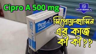 Cipro A 500 tablet  ciprocin 500 কি কাজ করে  ciprofloxacin 500mg  drug in bangla [upl. by Jammin561]