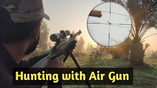 Hunting with Air Gun  Dove Hunting Season 202324  Hunting Vlogs  hunting [upl. by Barbette531]