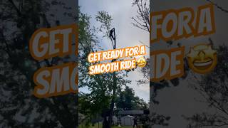 Stow that saw and get ready for a smooth ride treeclimbing arborist treeremovalservices [upl. by Adla]