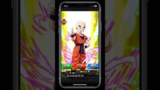 Daily Dokkan Summon 10924 dokkanbattle dokkansummons dragonball shorts [upl. by Willyt]