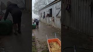 Horse 🐎 stables at Fernhill Rochdale [upl. by Worthington]