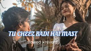 Tu cheez badi hai mast slowed vibe trending musictseries zeemusiccompany [upl. by Yraunaj333]