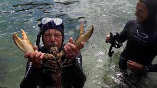 Cornwall Foraging for Big Lobsters and Brown Crab with ForageFishFood [upl. by Nitsur]