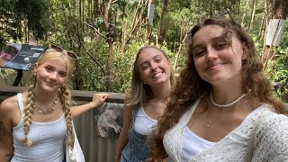 currumbin wildlife sanctuary vlog  ywam byron bay [upl. by Lorimer154]