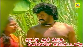 காட்டு வழி போற பொண்ணே கவலப்படாதே  Ilayaraja Superhit Song  Vairamuthu  Bakthi Padalgal [upl. by Myra994]