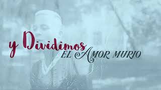 Nio Garcia  Dividimos Bachata Version Lyric Video [upl. by Eceinahs819]