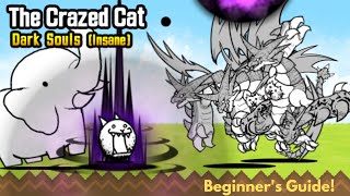 How to Beat The Crazed Cat No Gacha or Eraser needed  Battle Cats Dark Souls Insane [upl. by Tiff]