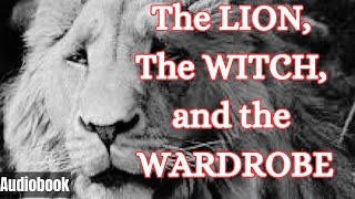 The Lion the Witch and the Wardrobe  Southern Audiobook Ch 5 [upl. by Olsson]