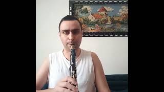 dimotika clarinet klarina music [upl. by Tracey]