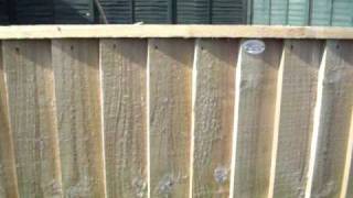 Tanalised Vertilap Fence Panels [upl. by Hayyim]