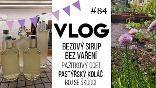 VLOG 84  bezový sirup pažitkový ocet pastýřský koláč 🥧 [upl. by Lever]