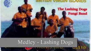 Medley  Lashing Dogs [upl. by Namolos]