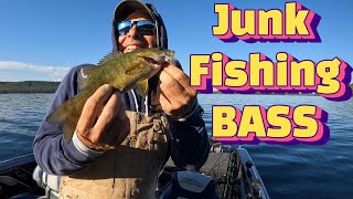 I went JUNK Fishing The BEST Catch for Cold Water BASS [upl. by Hibbs]