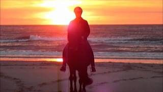 IJslanders tölten op het strand bij zonsondergang Terschelling [upl. by Eelyme]