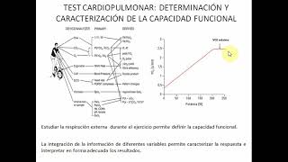 Respuesta CardioRespiratoria Ejercicio Yanina Zócalo Parte 2 [upl. by Anazraf580]