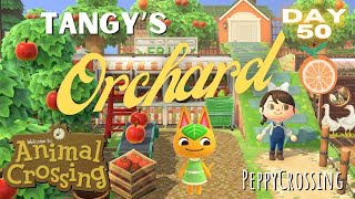 Building a Vertical Orchard for Tangy in Animal Crossing  Sugarbelle  Day 50  Peppy Crossing [upl. by Howund]