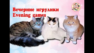 Вечерние игрулики Evening games [upl. by Einnahc]