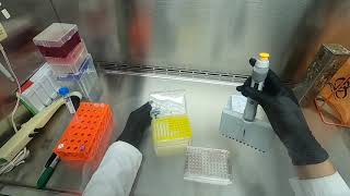 Cytotoxicity Assay [upl. by Hosbein]