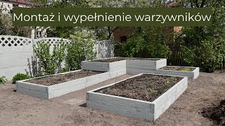 Montaż betonowych warzywników  wypełnienie skrzyń na warzywa  podwyższone grządki [upl. by Artimas571]