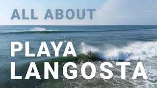 Locals Surf Guide Discover Playa Langosta [upl. by Htirehc]