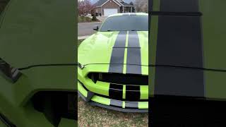 I Bought The Best Muscle Car Ever Made Shelby GT350 [upl. by Menashem37]