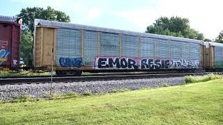 Galesburg Illinois 8102024 Peck Park part 1 [upl. by Arvin]