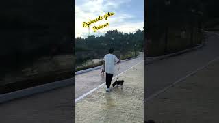 Esplanade sjdm bulacan  fishing spot or tourist spot fishing relaxing shortvideo ralaxing [upl. by Luing]