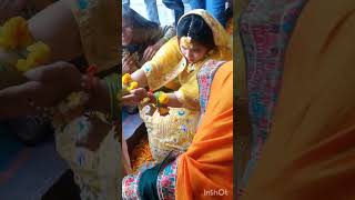 haldi function trendingshorts minivlog shortsfeeds viral [upl. by Adnarim239]