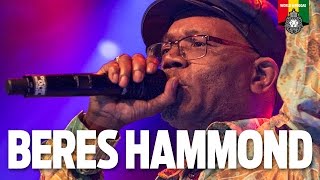 Beres Hammond Live  Melkweg Amsterdam 2016 [upl. by Irik]