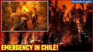 Chile Announces State of Emergency as Escalating Forest Fires Claims Ten Lives  Oneindia News [upl. by Yllib853]